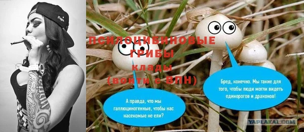 прущие крисы Наволоки