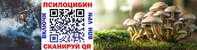Галлюциногенные грибы Psilocybine cubensis  Котовск 