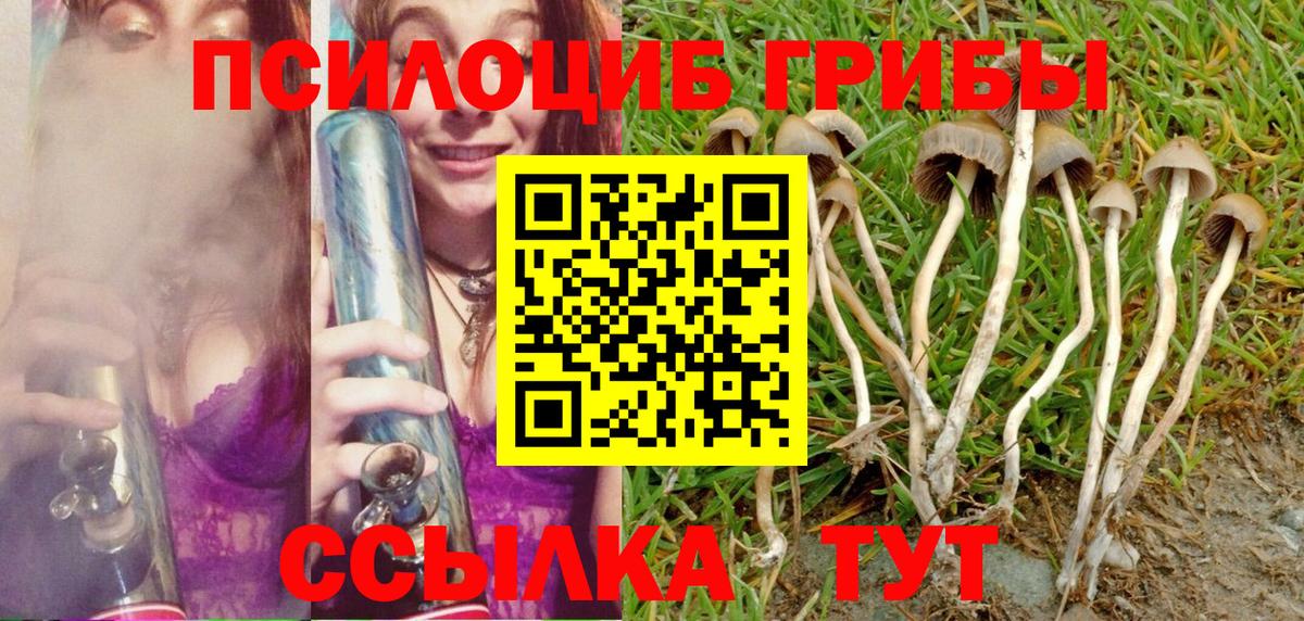 Псилоцибиновые грибы Magic Shrooms  Галлюциногенные грибы GOLDEN TEACHER  Котовск  Вход с VPN 