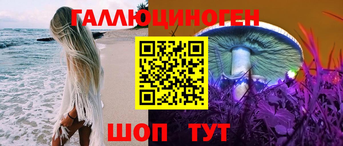 Галлюциногенные грибы Cubensis Котовск